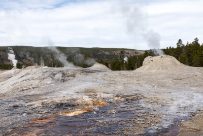 Old Faithful Geyser Area Yellowstone 2024